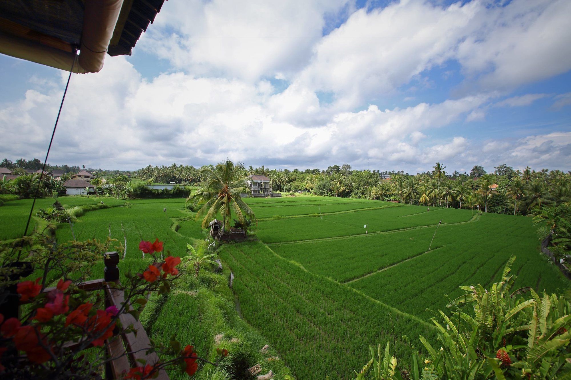 Satori Villas Bali Убуд Екстер'єр фото